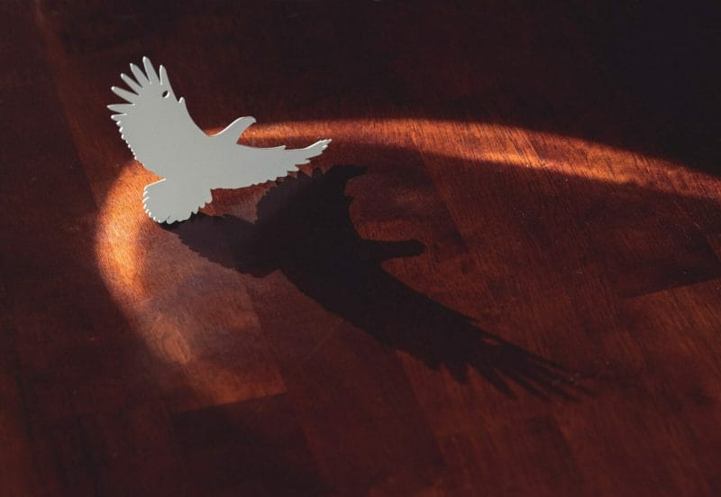 A picture of laser cut eagle that is powder coated white and on a table