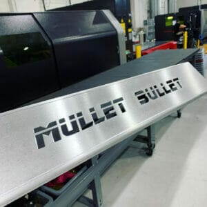 mullet-bullet